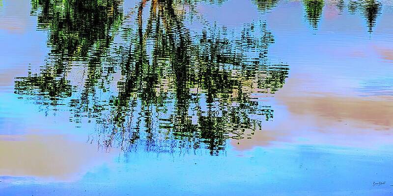 Serene Photograph - Pond Reflections by Bruce Block