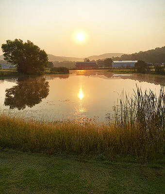 Country Wall Art featuring the photograph Pond Reflections by Greg Lane