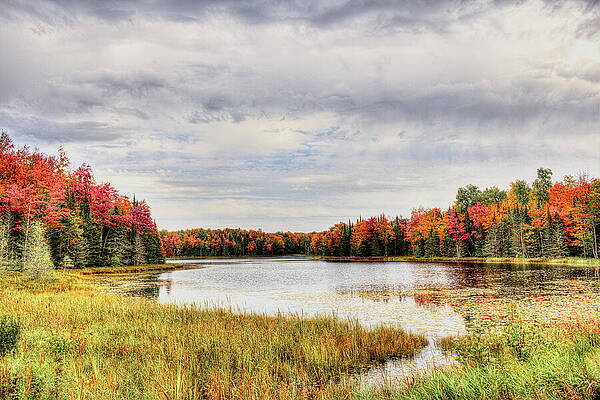 Wall Art featuring the photograph Pond Rimmed With Fall Color by Dale Kauzlaric
