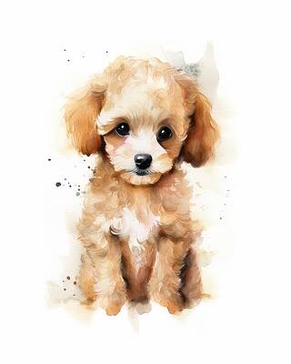 Portrait Painting - Poodle Puppy Portrait by Land of Dreams