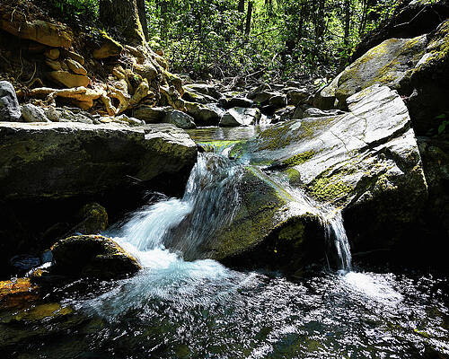 Wall Art featuring the photograph Stony Fork Pools by Steven Nelson