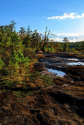 Georgia Photograph - Pools On Arabia Mountain by Anthony Hightower