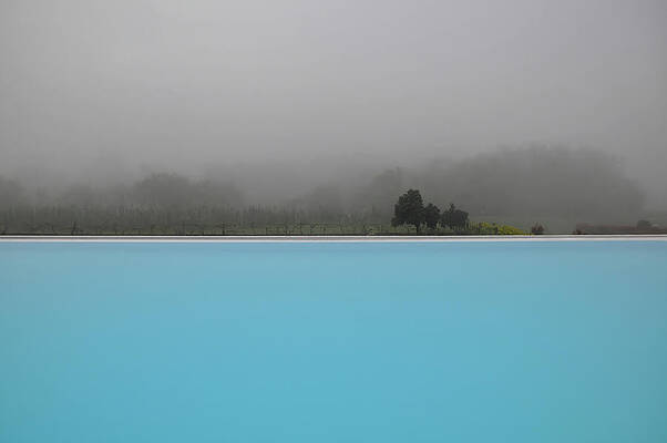 Wall Art featuring the photograph Poolside On The Vineyard by Rebecca Herranen