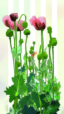 Flower Digital Art - Poppy Love by Gina Harrison