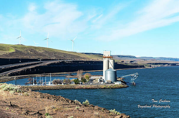 Oregon Wall Art featuring the photograph Port Of Arlington Oregon by Tom Cochran