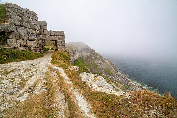 Wall Art featuring the photograph Portland Coastal Path by Shirley Mitchell