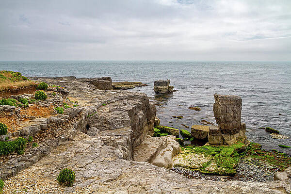 Wall Art featuring the photograph Portland Sea Stacks by Shirley Mitchell