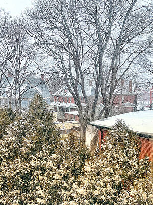 Photograph - Portland Winter Scene by Roche Fine Art