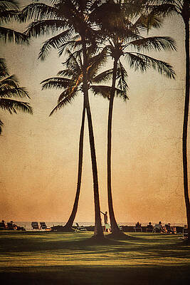 Wall Art featuring the photograph Postcard From Kauai Hawaii by Mary Lee Dereske