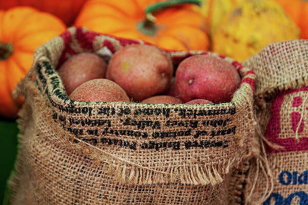 Sack of Potatoes and Pumpkins Wall Art