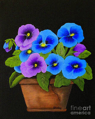 Painting - Potted Pansies by Shirley Dutchkowski