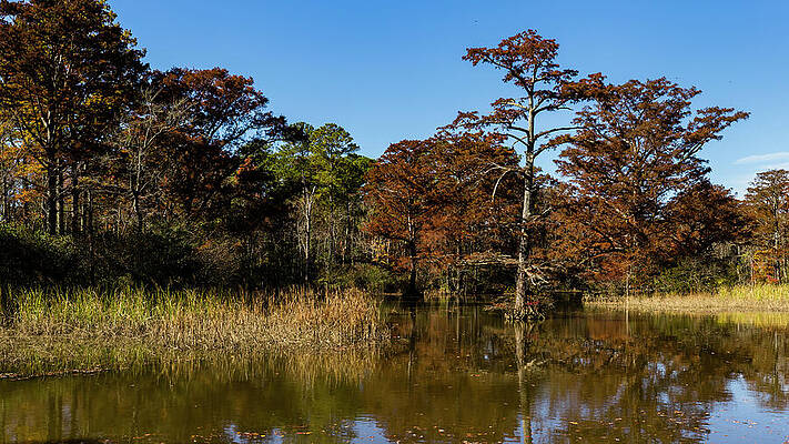 Water Photograph - Powhatan Creek In Autumn by David Fountain