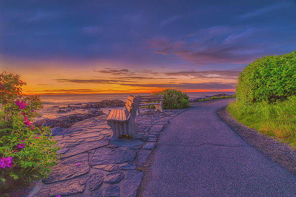 Maine Wall Art featuring the photograph Precious Beginnings by Penny Polakoff