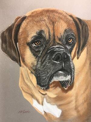 Wall Art featuring the pastel Presley by Marlene Little