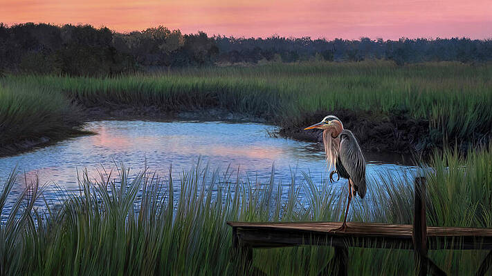 Wall Art featuring the mixed media Prince Of Tides by Maryanne Keeling