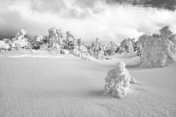 Wall Art featuring the photograph Pristine Wonderland by Jeff Sinon
