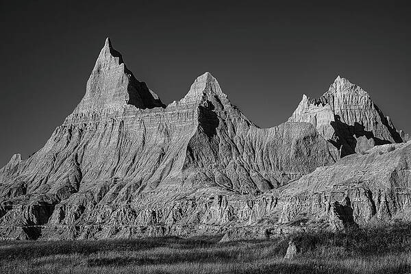 Prominent Profiles-black And White Print