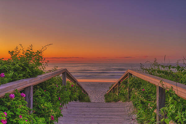 Maine Wall Art featuring the photograph Promise And Hope by Penny Polakoff