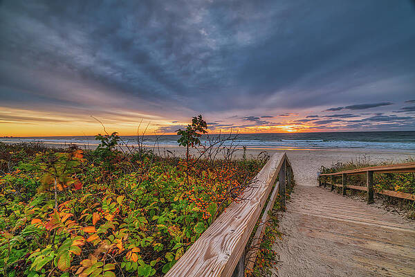 Wall Art featuring the photograph Promise Of A New Dawn by Penny Polakoff