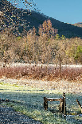 Winter Photograph - Promise Of Spring #9440 by Dan Beauvais