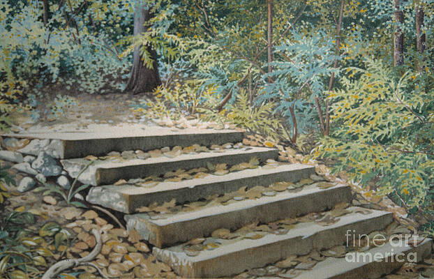Nature Wall Art featuring the painting Prospect Park Stairway 1982 by William Hart McNichols
