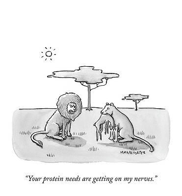 Meat Drawing - Protein Needs by Sarah Morrissette