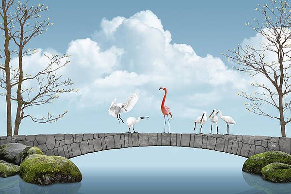 Flamingo and Spoonbills on a Bridge Digital Art