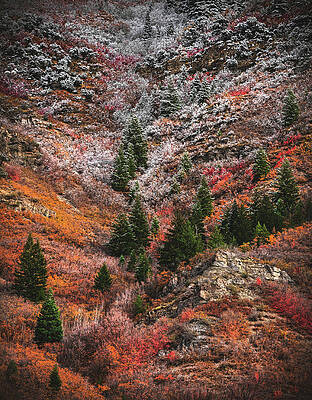 American Photograph - Provo Canyon Fire And Ice, Utah - Vertical by Abbie Warnock