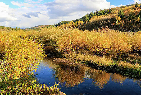 Utah Wall Art featuring the photograph Provo River Reflections 1 by Dawn Richards