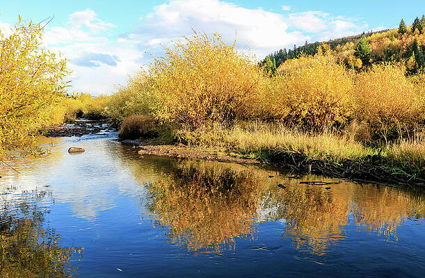 Utah Wall Art featuring the photograph Provo River Reflections 2 by Dawn Richards