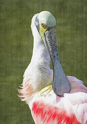 Wall Art featuring the photograph Pruning Spoonbill Painting by Rebecca Herranen