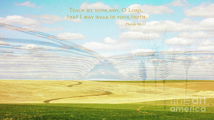 Summer Photograph - Psalm 86 by Macro Abundance