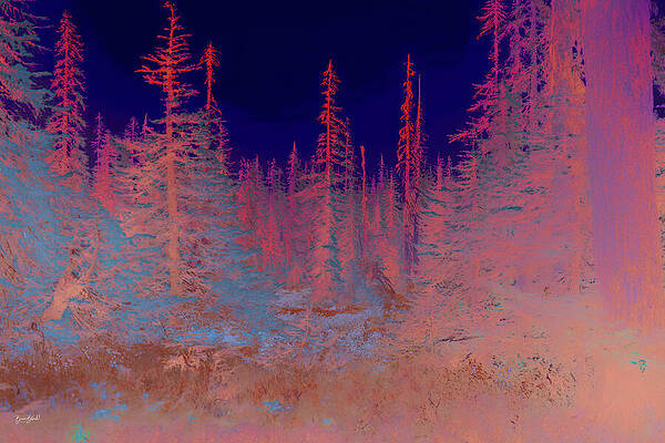 Psychedelic Forest Landscape Wall Art
