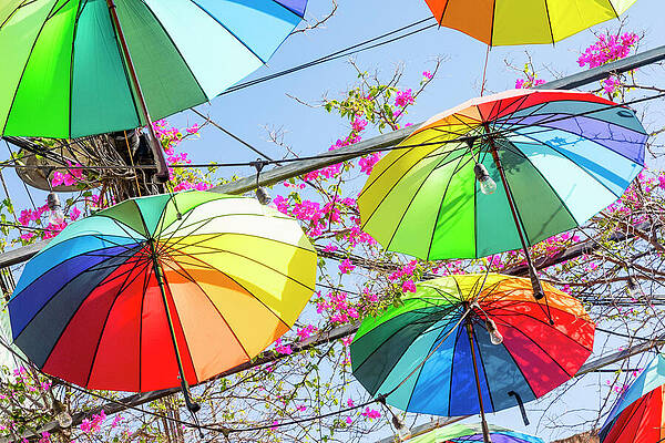 Colorful Umbrellas in a Garden Wall Art