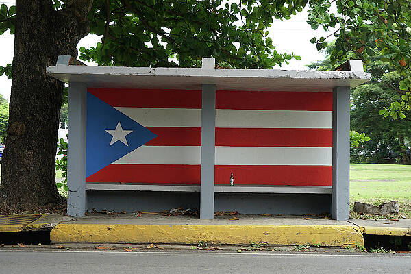 Puerto Rican Flag on Bus Stop Wall Art