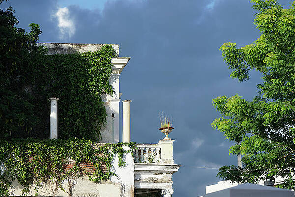 Puerto Rico Balcony 1 by Richard Reeve