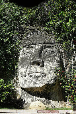 Giant Stone Face in Jungle Wall Art