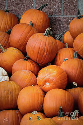 Wall Art featuring the photograph Pumpkin Patch Piles by D Lee