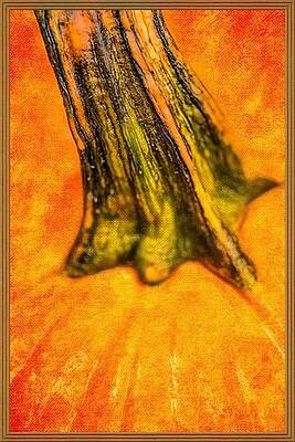 Painting - Pumpkin Stalk by Juliette Becker