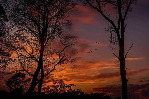 Landscape Photograph - Punchbowl Sunset by Chris Boulton