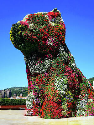 Wall Art featuring the photograph Puppy by Rick Locke - Out of the Corner of My Eye