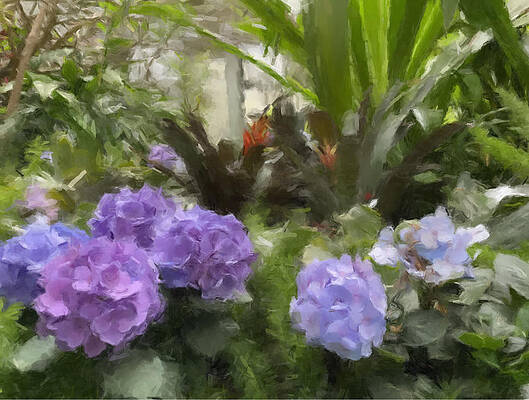 Painting - Purple And Blue Hydrangeas by Gary Arnold