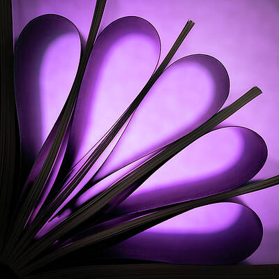 Dramatic Wall Art featuring the photograph Purple Book Flower by Elvira Peretsman