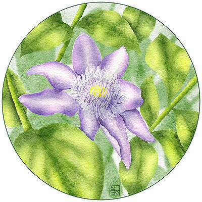 Flower Wall Art featuring the digital art Purple Clematis Flower by Snow Iris Studio