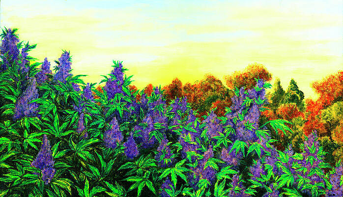 Wall Art featuring the painting Purple Fields by Megan Thompson- The Morrigan Art