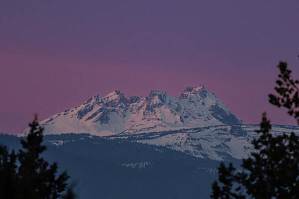 Mountain Wall Art featuring the photograph Purple Mountain Majesties by Tim Lyden