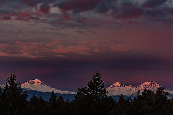 Mountain Wall Art featuring the photograph Purple Mountain Majesty by Tim Lyden