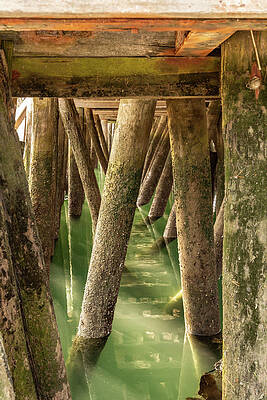 Reflection Wall Art featuring the photograph Pylon Reflections by Donna Twiford