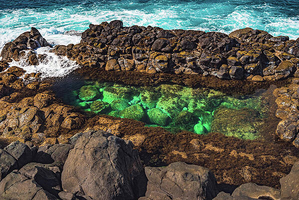 Paradise Photograph - Queens Bath Pool - Kauai, Hawaii by Abbie Warnock