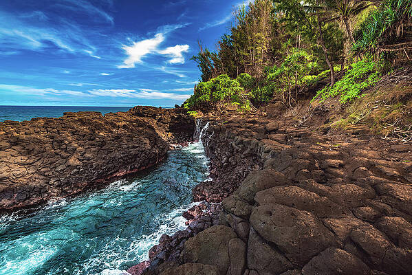 Paradise Photograph - Queens Bath Trail - Kauai, Hawaii by Abbie Warnock